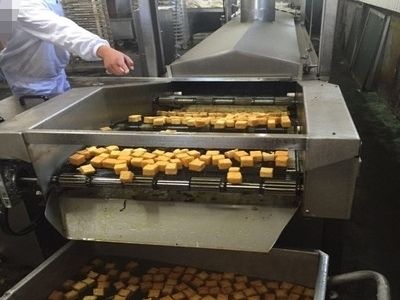 全自動油炸機(jī)